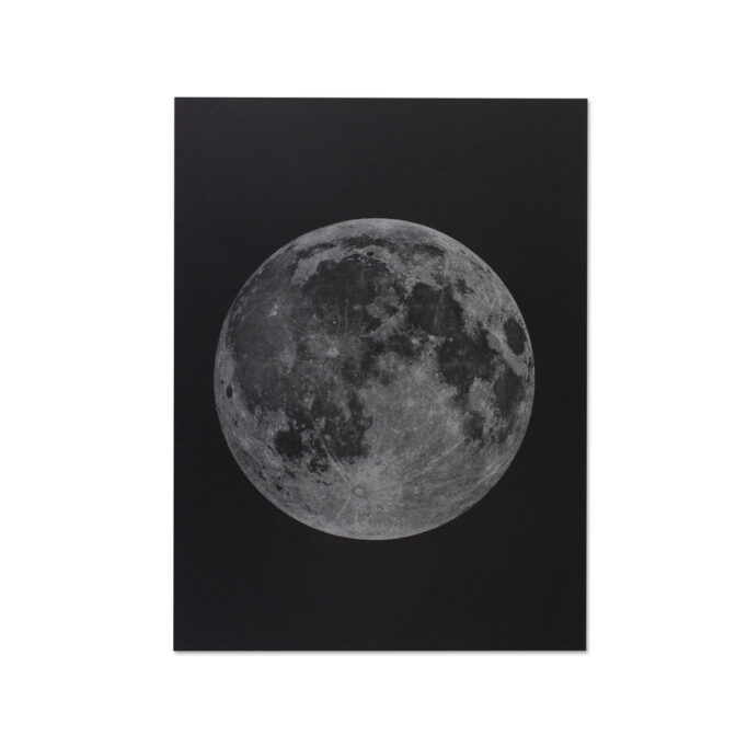 Artprint The Moon Donkey Products