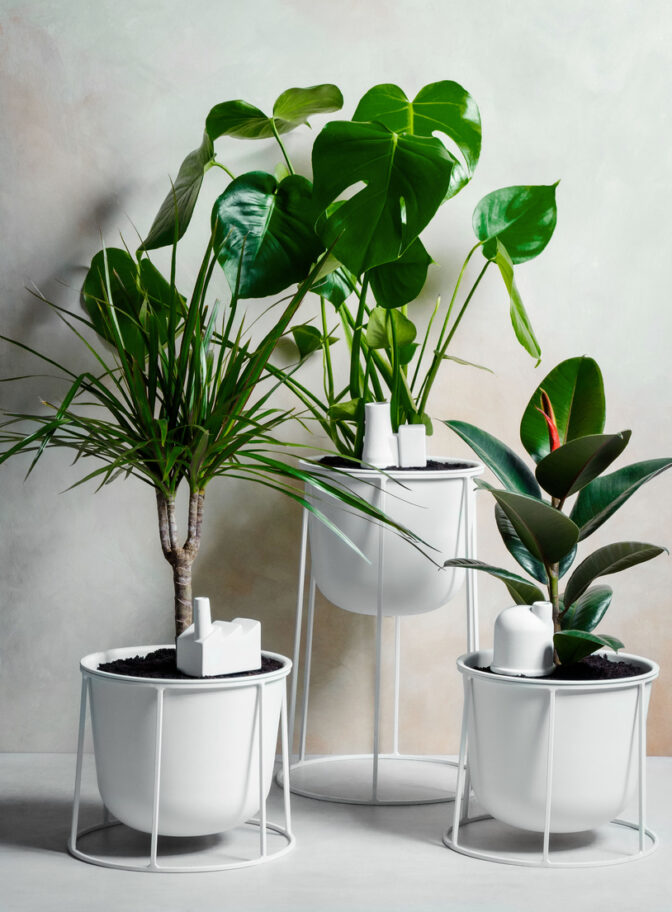 Plant Power Factory / Pflanzenbewässerer Donkey Products – Bild 6