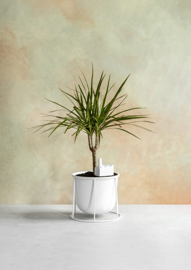 Plant Power Factory / Pflanzenbewässerer Donkey Products – Bild 5