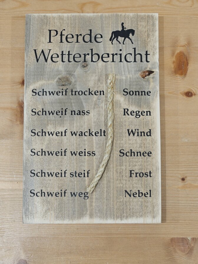Holzschild rechteckig ca. 19,5 x 30 cm – Bild 19