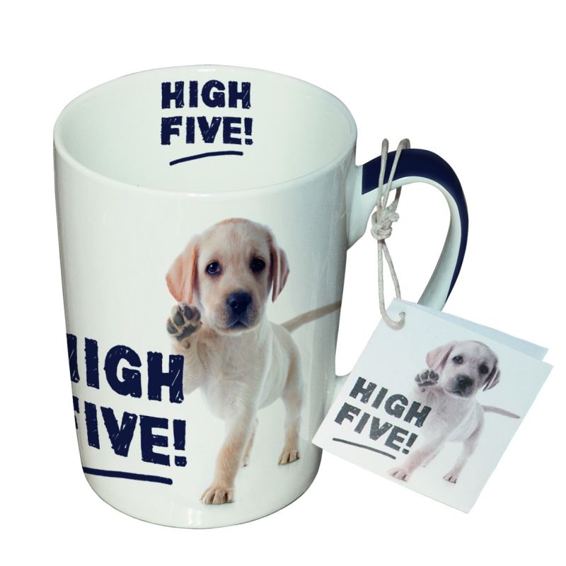 Becher High Five