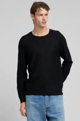 Pullover aus Wollmischung Replay