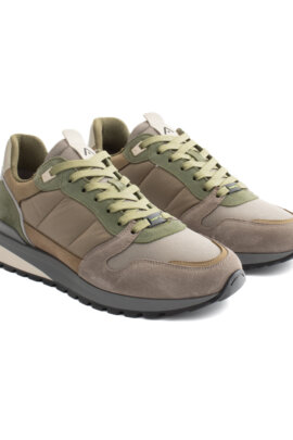 Sneaker Teddy Ambitious