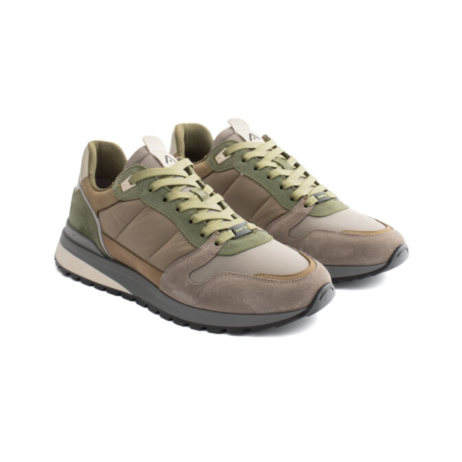 Sneaker Teddy Ambitious