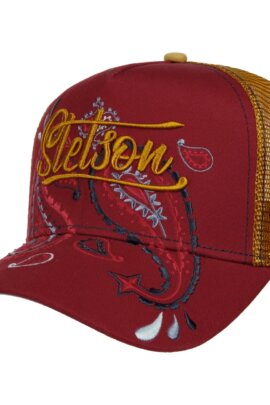 Trucker Cap Paisley Stetson