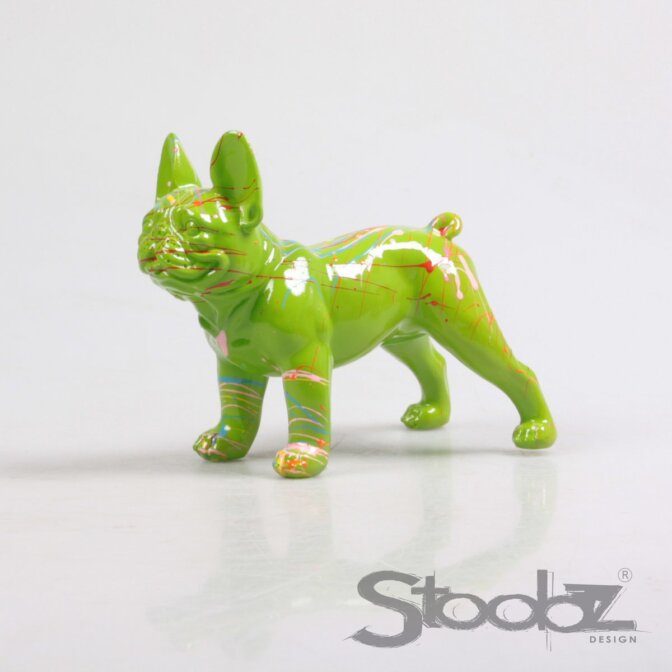 Hund Franz. Bulldogge Stoobz – Bild 5
