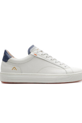 Sneaker Anopolis Ambitious