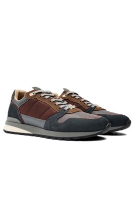 Sneaker Teddy Ambitious
