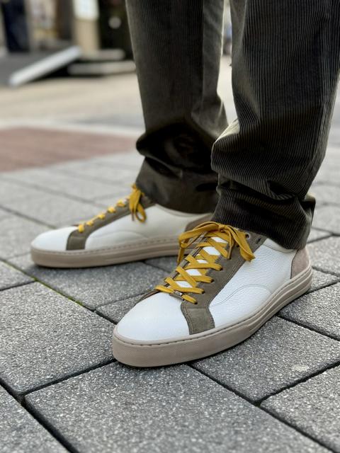 Sneaker Anopolis Ambitous